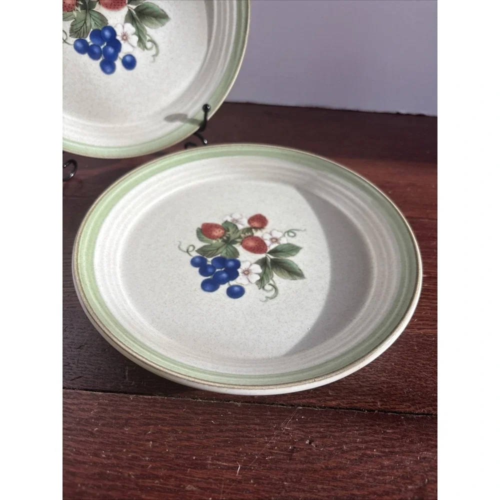 Cera Stone from Mikasa CN120 Berry Bloom Two Luncheon Salad Plates Red Blue‎